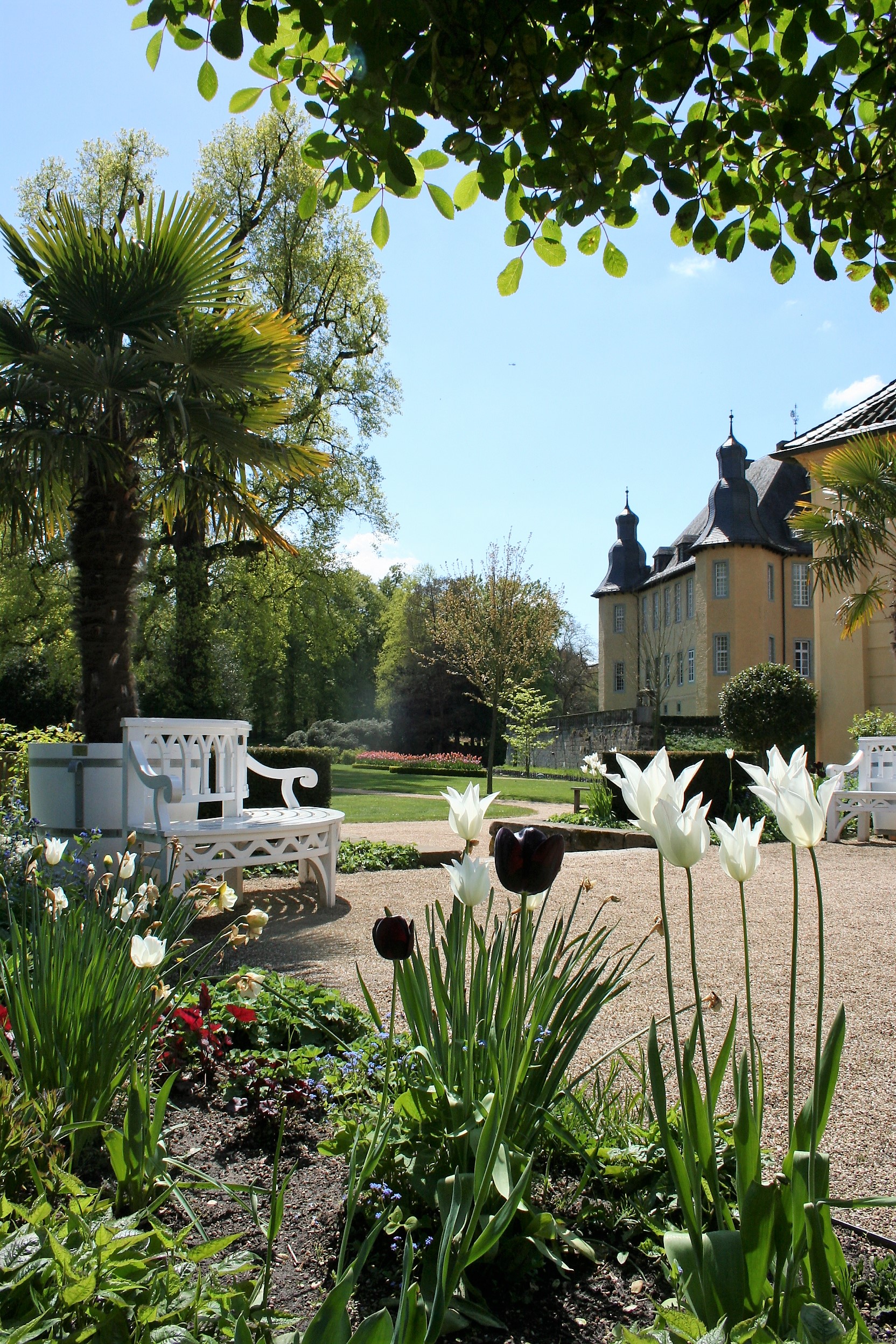 Blick vom Teehausgarten zum Schlossgarten, J. Spenjer